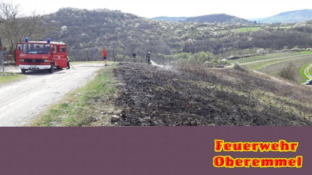 Flaechenbrand_Wiltingen_31_03_17 (5)